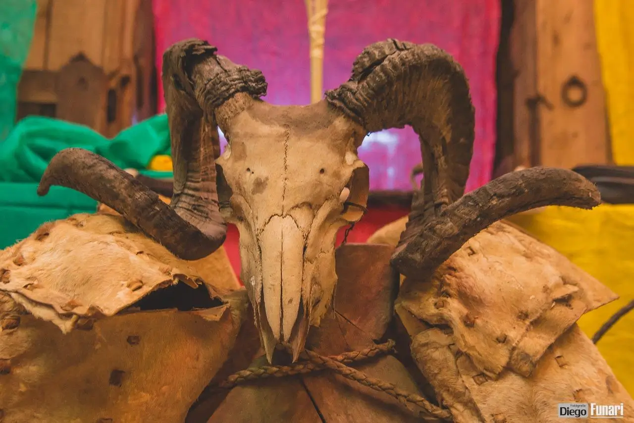 4ª Sessão 2024 - Imagens do Evento