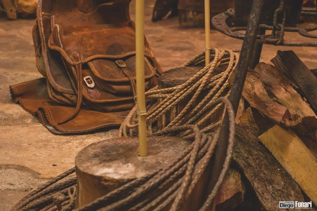 4ª Sessão 2024 - Imagens do Evento