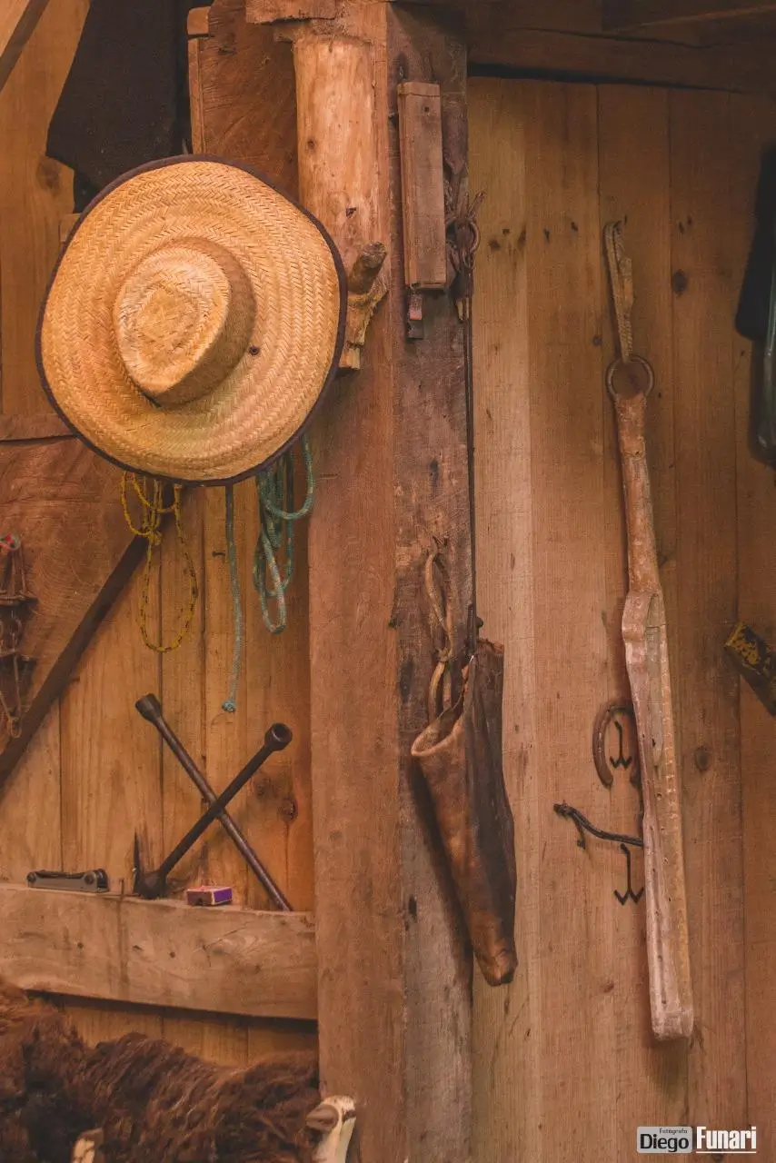 4ª Sessão 2024 - Imagens do Evento